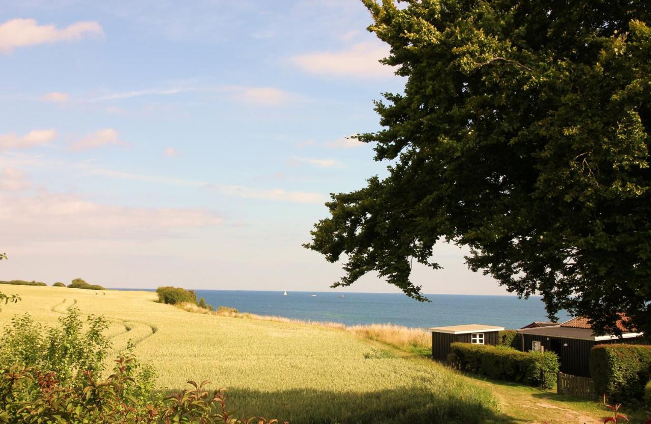 Kridthuset Stevns Klint Hotel Rødvig